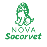 Logo Nova Socorvet