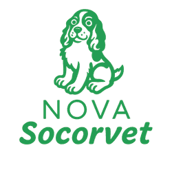 Logo Nova Socorvet