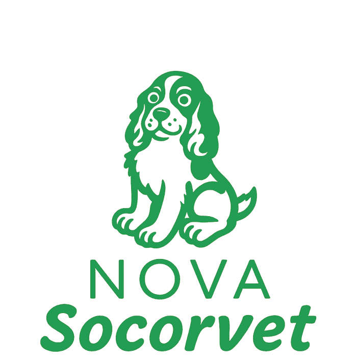 Atendimento Domiciliar Landing Hero Logo